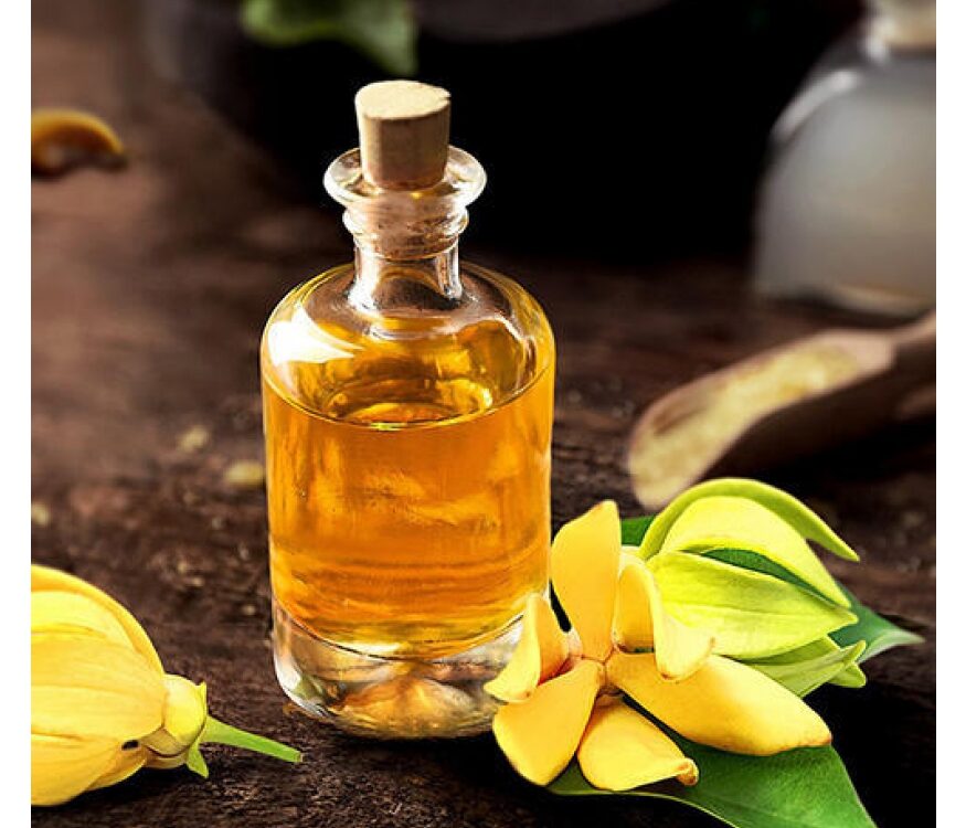 TINH DẦU NGỌC LAN TÂY