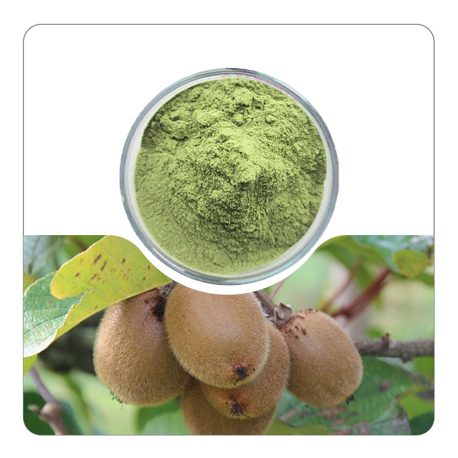BỘT KIWI - Ảnh 6