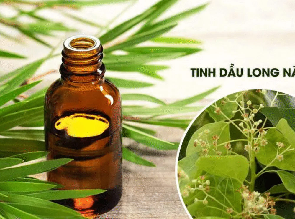 TINH DẦU LONG NÃO