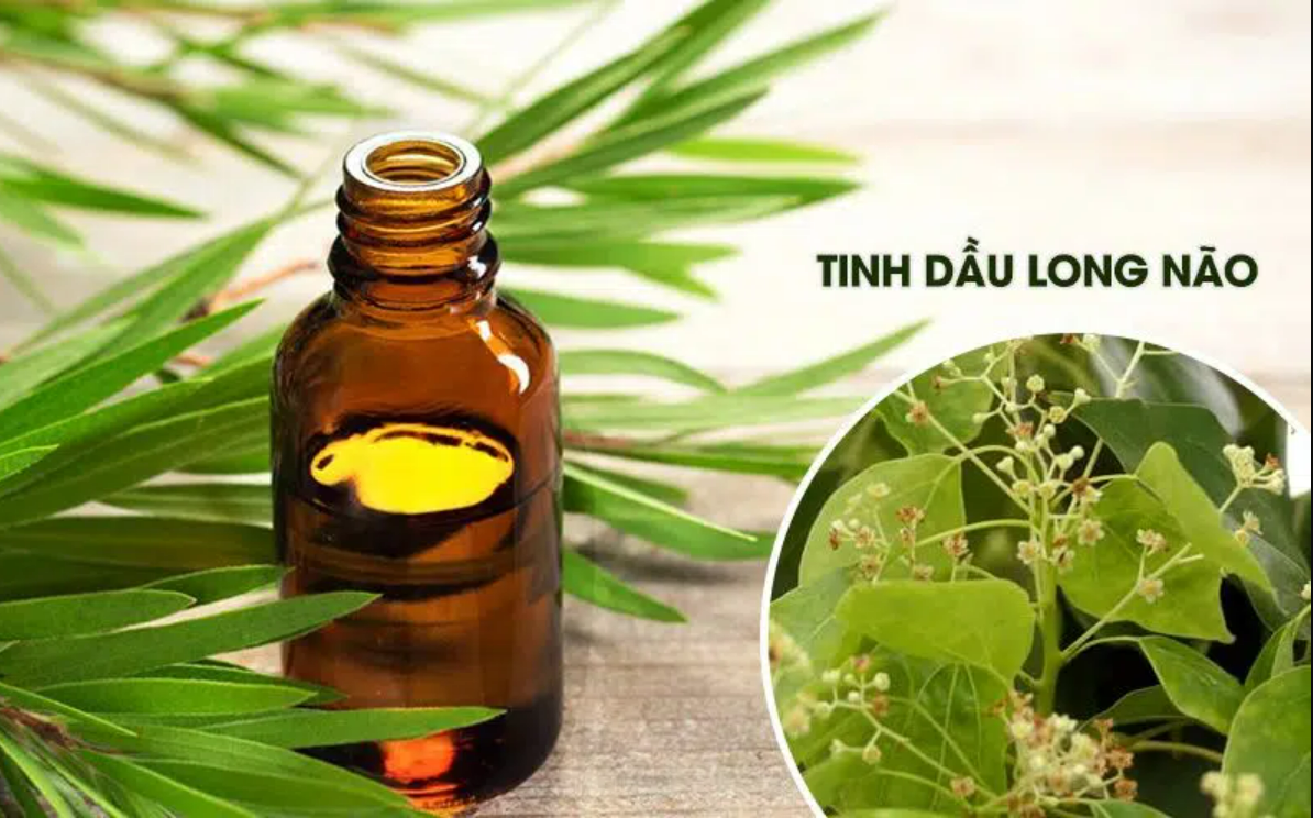 TINH DẦU LONG NÃO