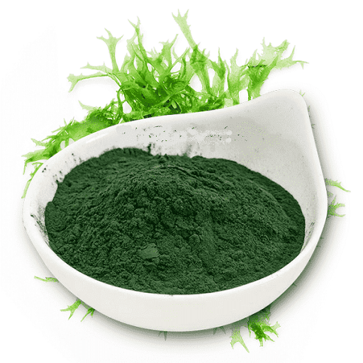 BỘT TẢO XOẮN